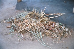 The pile of jumbled roots at a traditional healers' home or practice. Inspite of the looks, the healer or ng'anga knows all their roots by name and how they are used for treatment of various illnesses.